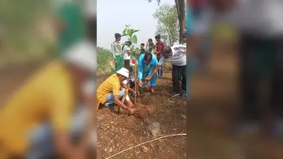 पेड़ हमारे लिए ऑक्सीजन सिलिंडर का करता है काम : डीसी