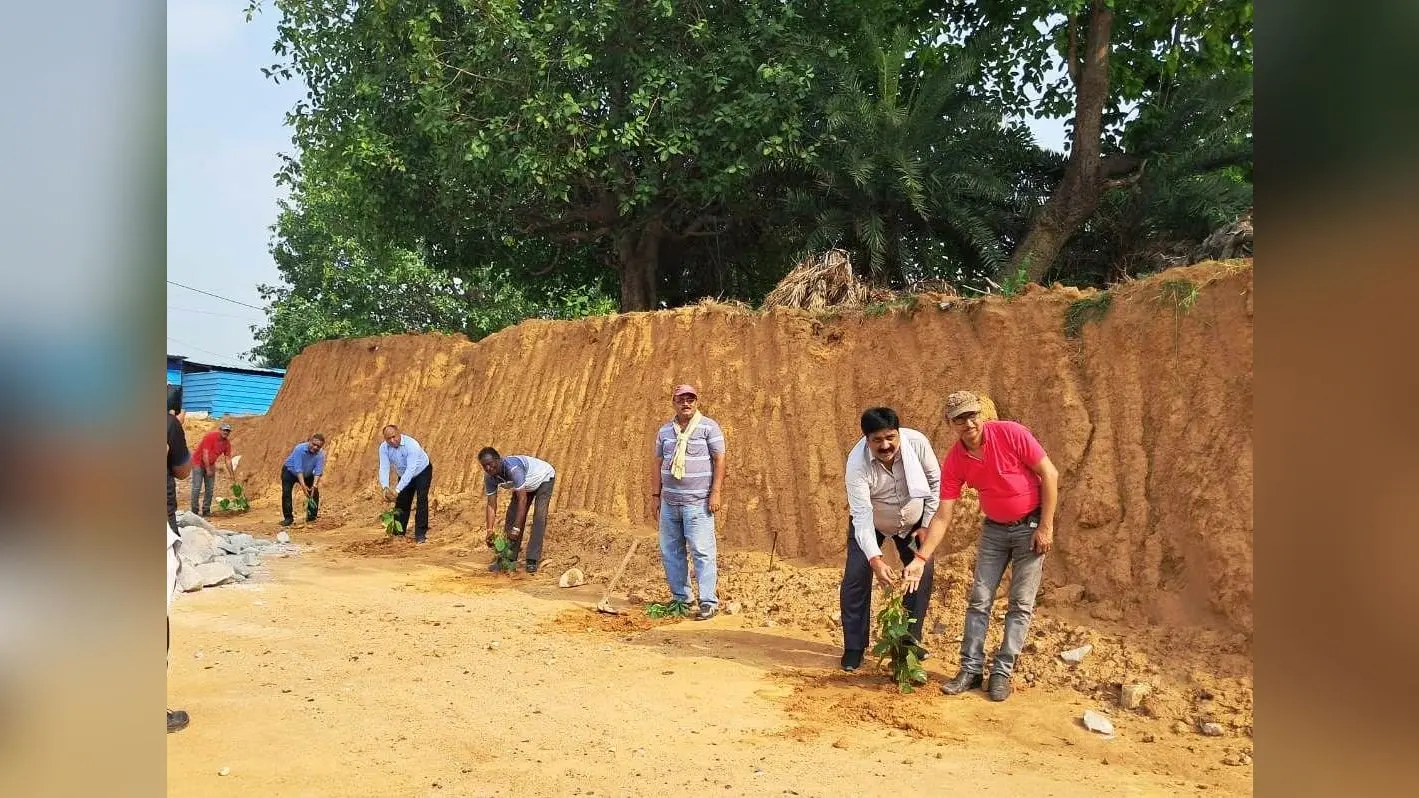 पर्यावरण दिवस पर कोल माइंस क्षेत्र में पौधरोपण, पौधा लगाने को किया प्रेरित