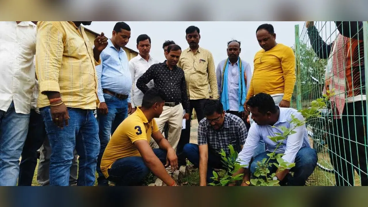 बीडीओ ने इल्डर्स क्लब परिसर में किया पौधरोपण