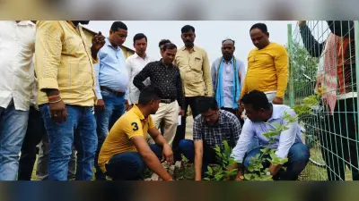 बीडीओ ने इल्डर्स क्लब परिसर में किया पौधरोपण
