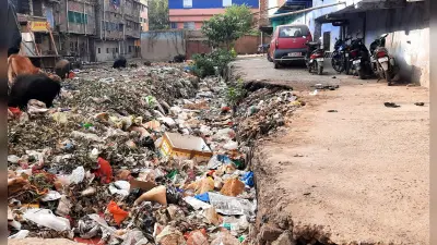 शहर का मुख्य नाला बराहगैनीय पइन की नहीं हो हुई सफाई