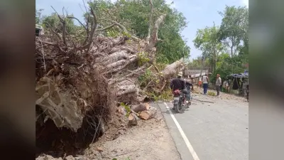 ओलावृष्टि ने मचायी भारी तबाही, गोदामों का चदरा उड़ जाने से लाखों की क्षति