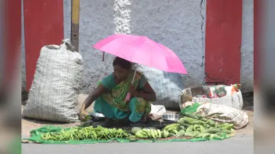 भेलाटांड़ से गोविंदपुर को नहीं मिल रहा पर्याप्त पानी, मचा त्राहिमाम
