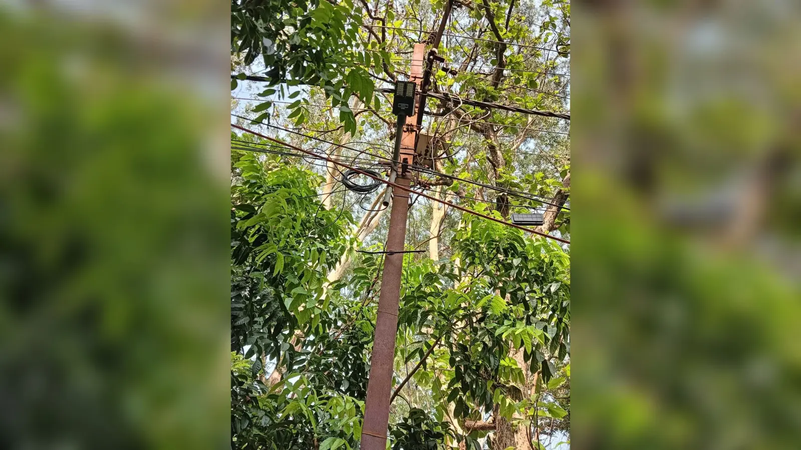शाम होते ही समाहरणालय की ओर जाने वाली सड़क पर छा जाता है अंधेरा