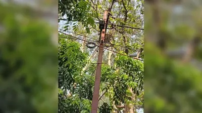 शाम होते ही समाहरणालय की ओर जाने वाली सड़क पर छा जाता है अंधेरा