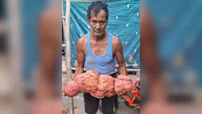 जरीडीह के किसान ने खेत में उगाया 17 किलो का शकरकंद