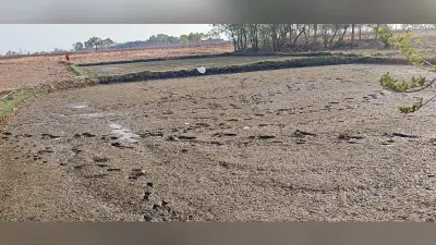 रोहिणी बरसे मृग तवे, कुछ-कुछ आदरा जाए, इतना होत बरसा, स्वान भात न खाय