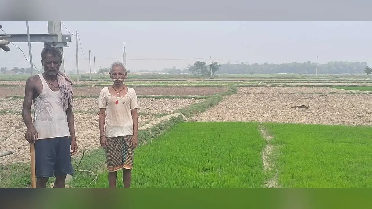 मामूली फॉल्ट भी दुरूस्त नहीं कर पाता विभाग, किसानों को खेत में नहीं मिल रही बिजली