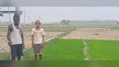 मामूली फॉल्ट भी दुरूस्त नहीं कर पाता विभाग, किसानों को खेत में नहीं मिल रही बिजली