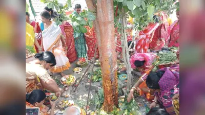 बंगाली समुदाय ने धूमधाम से मनायी जमाई षष्ठी, पीपल के पेड़ में बांधा रक्षा सूत्र