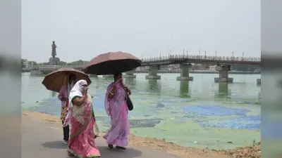 सड़ गया बड़ा तालाब का पानी, डेढ़ किमी दूर तक फैल रही बदबू