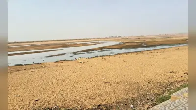 सोन नदी में पशु-पक्षियों के पीने लायक पानी नहीं