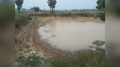 मनरेगा योजना के तहत करोड़ों खर्च कर बनाये गये दर्जनों तालाब, नहीं है पानी