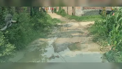 नगर परिषद के आदर्श नगर कालोनी में सड़क पर बह रहा पानी