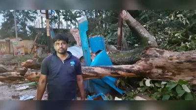 आंधी से राउरकेला एयरपोर्ट के शीशे चटके, राजगांगपुर में गुमटी पर गिरा पेड़