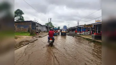 जलजमाव के संकट का नहीं पो पाया हल