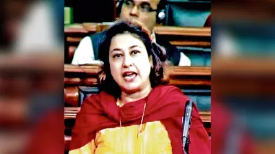 तृणमूल में रह कर साजिश करनेवाले किये जायेंगे बाहर : शताब्दी राय