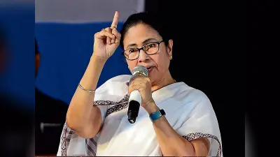 अस्पताल जाकर घायलों से मिले राज्यपाल व सीएम