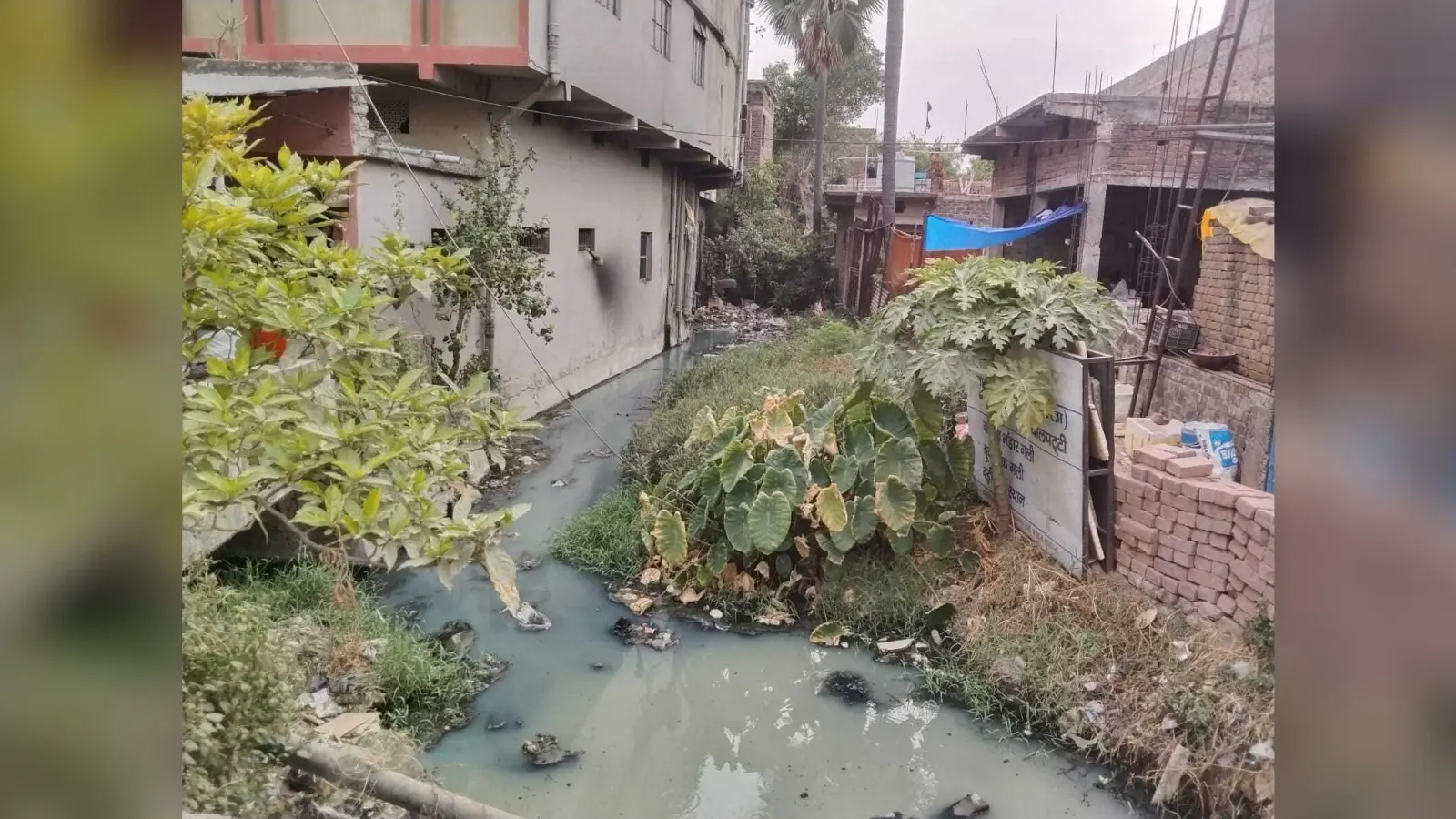 शहर के अतिक्रमित नाला की नहीं हुई साफ-सफाई