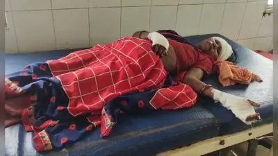 जंगल से लकड़ी लाने गये दंपती पर भालुओं ने किया हमला