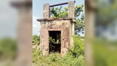 नहरों में पानी नहीं उपजे है झाड़ झंकड़, सरकारी नलकूप भी है बंद
