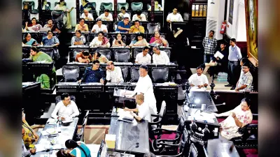 बेनामी संपत्तियों पर कब्जा करेगा निगम : मेयर