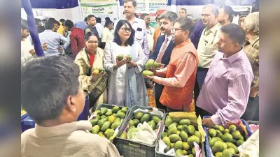 खरीद लीजिये, नाबार्ड लाया कार्बाइड मुक्त आम