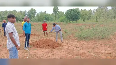दारू में 50 एकड़ में लगेगी आम बागवानी