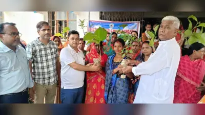 पर्यावरण संरक्षण के लिए पौधरोपण अवश्य करें : नपं प्रशासक