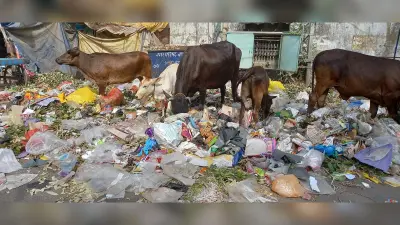 संसाधन भरपूर, फिर भी नहीं उठता हर दिन लोगों के घरों से कचरा