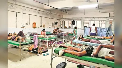 हड्डी विभाग में डॉक्टरों की कमी, सर्जरी के लिए तीन सप्ताह बाद आता है नंबर