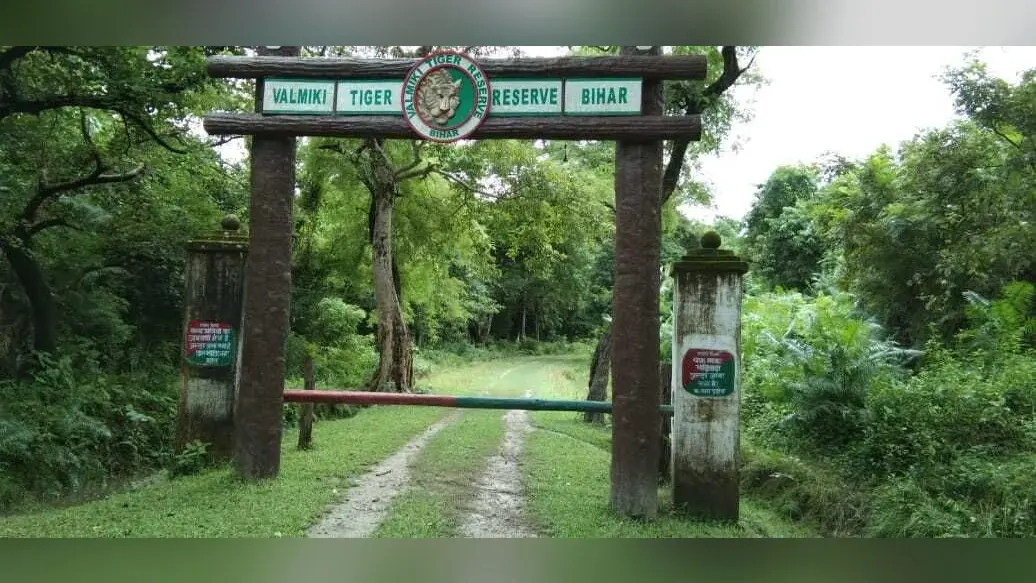 देशी विदेशी पर्यटकों की पहली पसंद बना वाल्मीकिनगर टाइगर रिजर्व