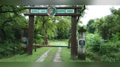 देशी विदेशी पर्यटकों की पहली पसंद बना वाल्मीकिनगर टाइगर रिजर्व