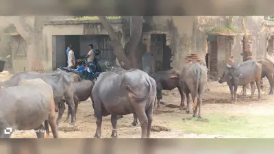 प्रखंड सह अंचल के साहब व कर्मी के मुख्यालय में नहीं रहने से समय पर नहीं चलता कार्यालय