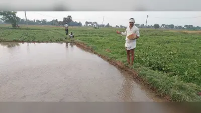 बिचड़ा गिराने का समय हो रहा समाप्त, किसानों की बढ़ी चिंता