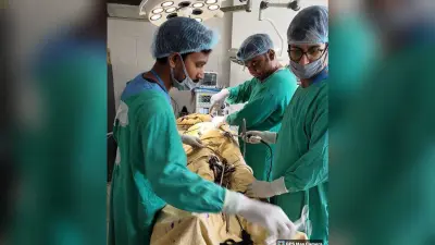 जिले के सर्वांगीण विकास में डीएमएफटी की भूमिका महत्वपूर्ण : डीसी