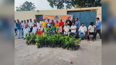 300 पौधों का किया नि:शुल्क वितरण