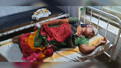 अधेड़ महिला को बदमाशों ने चाकू मार कर किया घायल