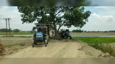 नवनिर्मित सड़क के बीचोंबीच 40 फीट पीपल का है वृक्ष