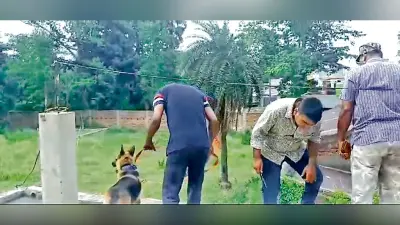 इसीएल के रिटायर्ड कर्मचारी की सिर में गोली लगने से मौत