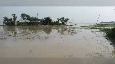 कोसी का कहर : मौजहा पंचायत के तीन वार्ड में कोसी का तांडव जारी, एक दर्जन लोगों का घर नदी में विलीन