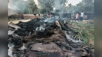 सरायकेला में जंगली हाथियों का उत्पात, बिजली के पोल को गिराया, 6 घरों में लगी आग