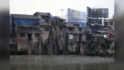 NGT: ईस्टर्न जोनल बेंच में 203 मामले पेंडिंग, बालू उठाव व पत्थर खनन के केस ज्यादा, देशभर में 3373 मामले लंबित