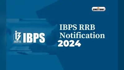 IBPS RRB Clerk Result : आरआरबी क्लर्क प्रिलिम्स 2024 का रिजल्ट जल्द, कैसे करें चेक