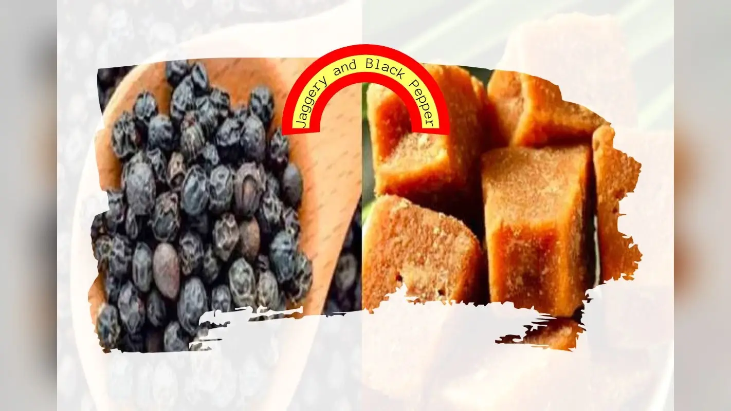 Jaggery and Black Pepper: गुड़ और काली मिर्च दोनों एक साथ खाने से होने वाले 5 सबसे बड़े फायदे