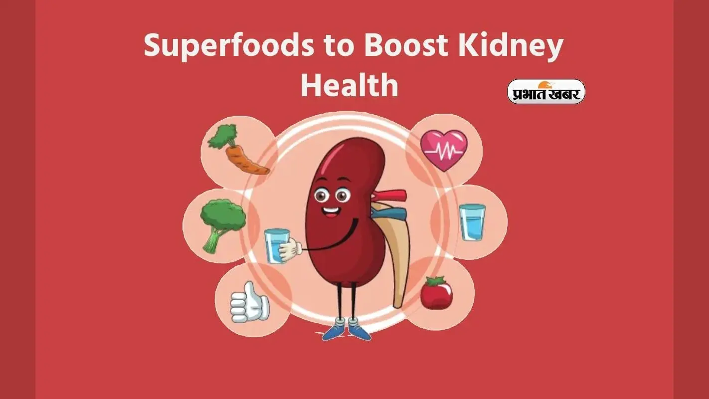 Kidney Health Tips: किडनी को रखना हो हेल्दी तो जरूर खाएं ये सुपर फूड्स