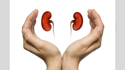 Health : आम होती जा रही है किडनी स्टोन की समस्या, इसके लक्षणों काे न करें अनदेखा