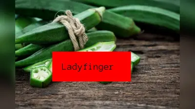 Benefits Of Ladyfinger: भिंडी में छिपा है सेहत का राज, जानिए इसके फायदे