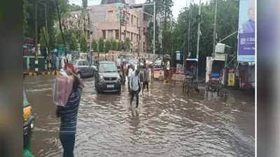 Motihari Weather: झमाझम बारिश से किसानों के खिले चेहरे, गर्मी से मिली राहत