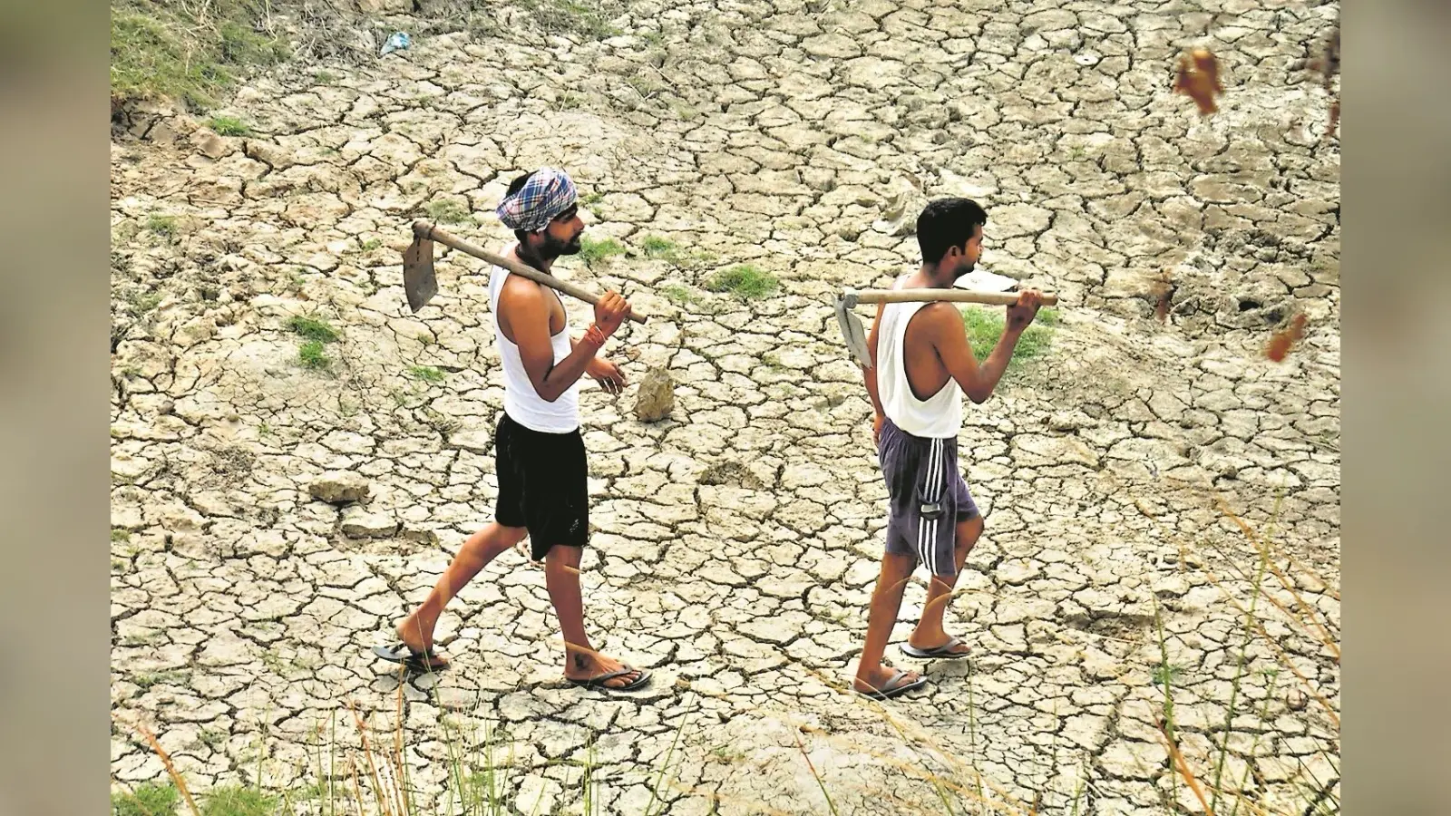 बैंकों से कर्ज लेनेवाले 61 हजार किसानों का पता नहीं